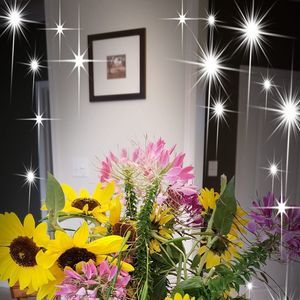 Meet your Posher, Gemja